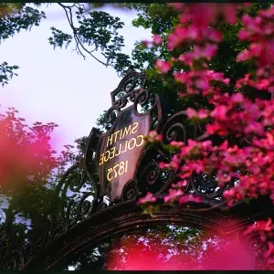 Grecourt Gates with pink flowers.